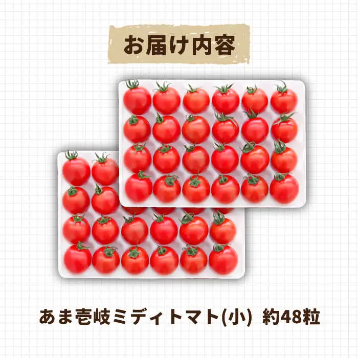 【先行予約】あま壱岐 ミディトマト 約48粒  [JAE009] トマト