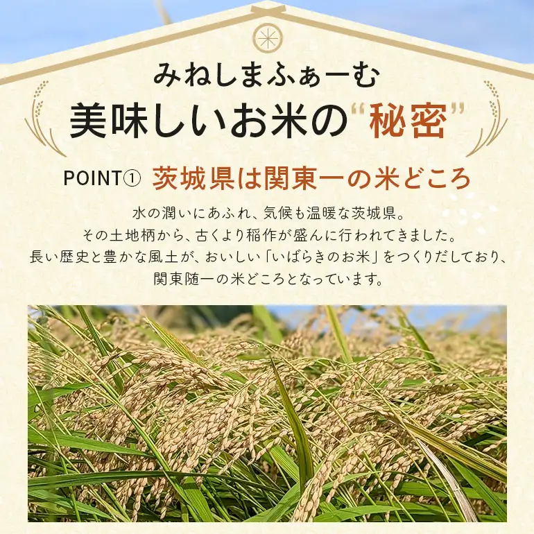 定期便 常陸牛農家が育てるコシヒカリ 5kg×12回 令和8年度産 米 お米 白米 こめ 精米 取り寄せ 特産 ごはん ご飯 コメ お取り寄せ ギフト 贈り物 お弁当 弁当 おにぎり ふっくら ツヤツヤ 甘い 農家直送 産地直送 国産 茨城県産