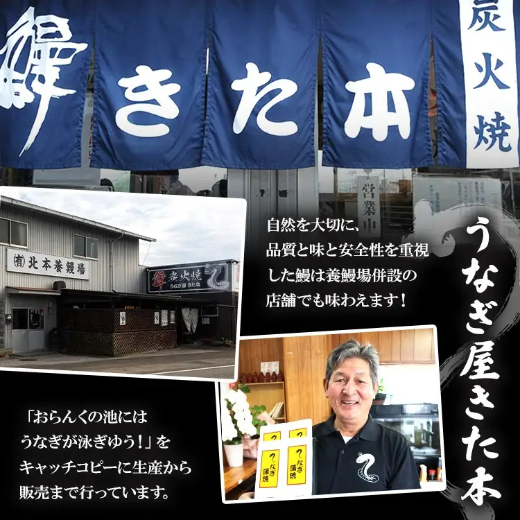 うなぎ白焼き 3尾(合計約360g)(無頭) - 送料無料 鰻 ウナギ 魚介 惣菜 おかず 山椒塩 のし ギフト 贈答 贈り物 プレゼント 丑の日 うなぎ屋きた本 高知県 香南市 冷凍 un-0088