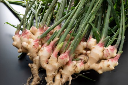 AI-158 ～根根菜菜～炊き込みご飯の素　２４個入り（新しょうが）