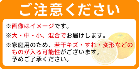 愛媛県西宇和産 でん助みかん（早生）5kg ご家庭用 MDN0003
