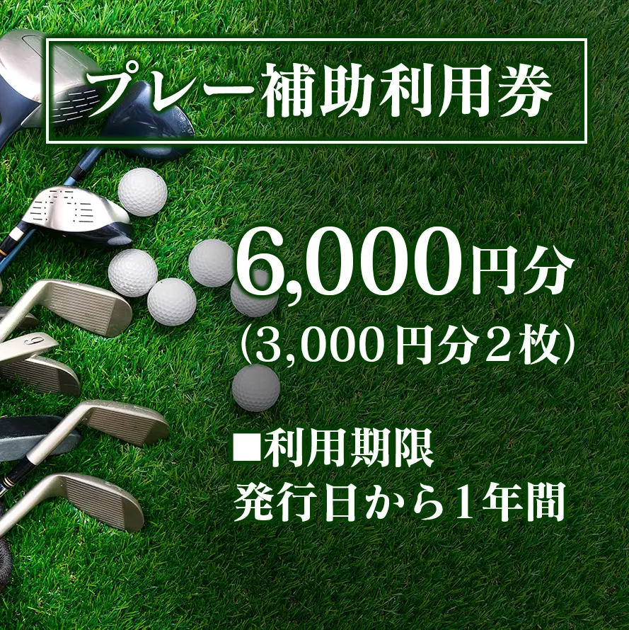 千代田ゴルフ倶楽部　ゴルフ場優待プレー補助利用券 6,000円分 CH078_002