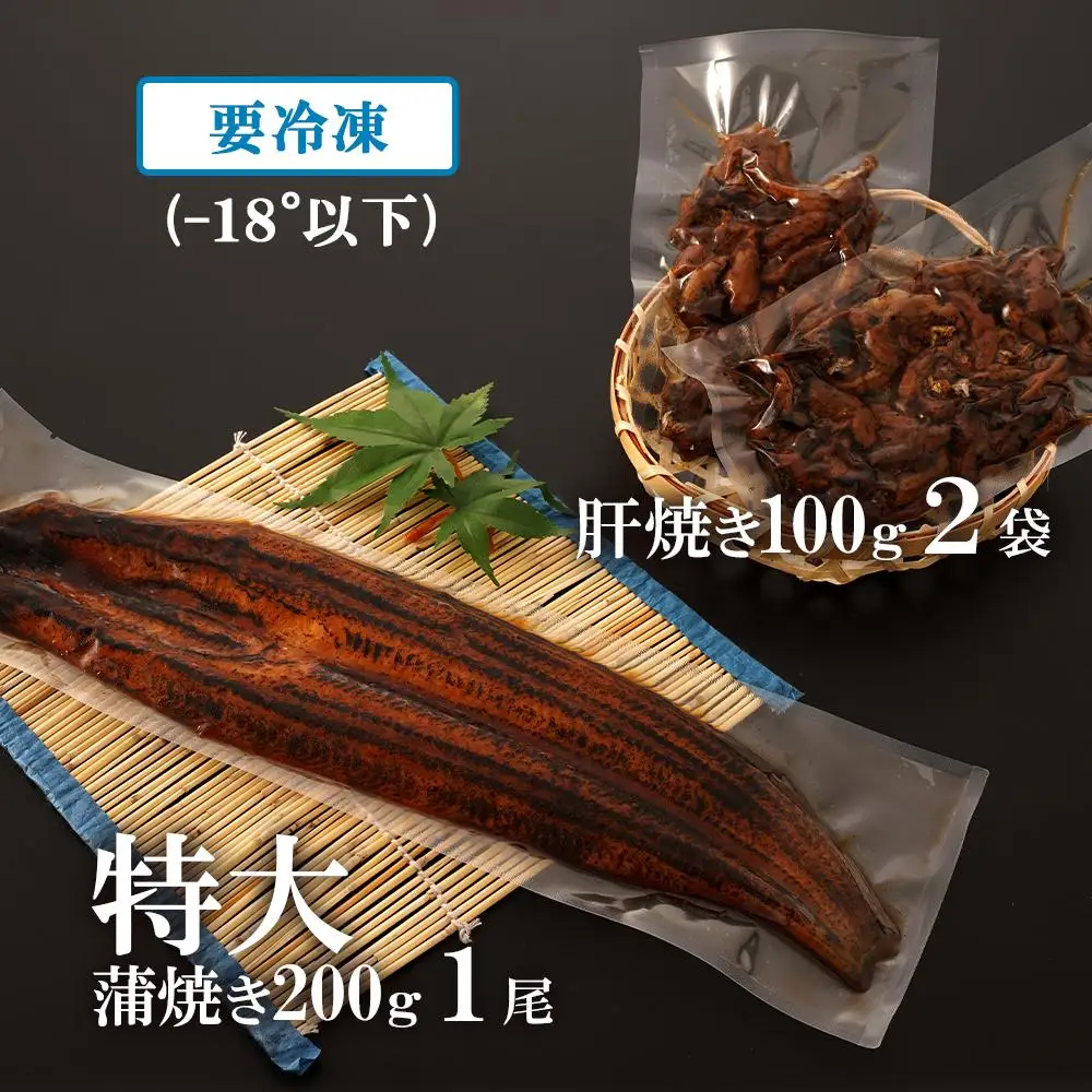 鹿児島県大隅産　特大 うなぎ 蒲焼 200g 1尾・鰻 の 肝焼き 100g×2袋 セット｜うなぎ