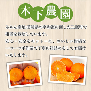 紅まどんなと同品種！＜木下さんちのまどんな 約2.5kg 家庭用＞ 柑橘類 みかん ミカン 果物 くだもの フルーツ 不揃い 自宅用 愛媛果試第28号 特産品 産地直送 マドンナ 木下農園 西宇和 愛媛県 西予市【常温】『2026年12月上旬～12月下旬迄に順次出荷予定』MKS0001