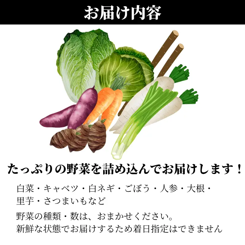 新見市産 冬の野菜詰め合わせセット【11月中旬～1月中旬発送】