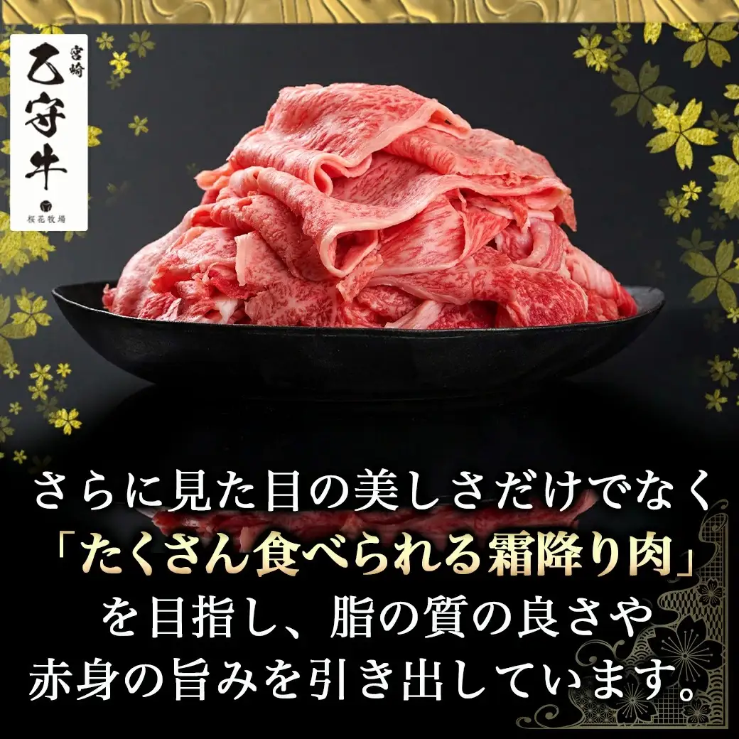 数量限定！【宮崎牛A5】小間切れ500g(乙守牛)〔19-6502〕_(都城市) 都城産宮崎牛 乙守牛 A5 小間切れ 500g×1パック 牛肉 