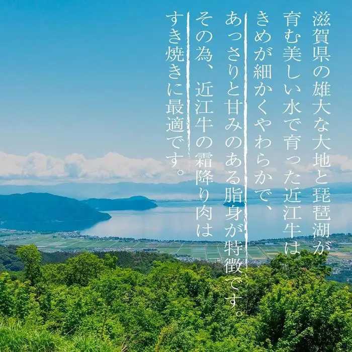 近江牛 A5ランク 肩ロースすき焼き・しゃぶしゃぶ用 [CE001] /