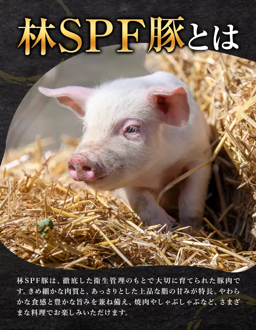 林SPF豚 焼肉 セット シート巻き 計1kg 田谷ミートセンター 焼肉