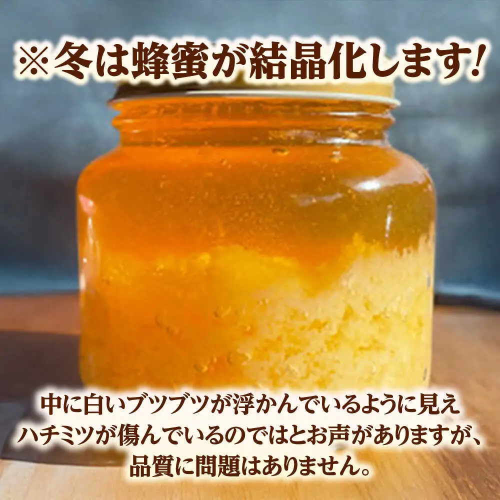 蜂蜜 天然日本ミツバチの「はちみつ」 400ml×1個 [AICL002]