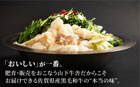 【冷凍発送】佐賀県黒毛和牛 もつ鍋セット2?3人前 HAD135 