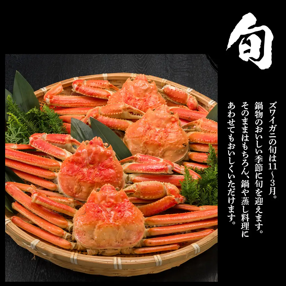 訳あり ズワイガニ 姿 ボイル済み 冷凍 3尾セット 約2.4kg BM340