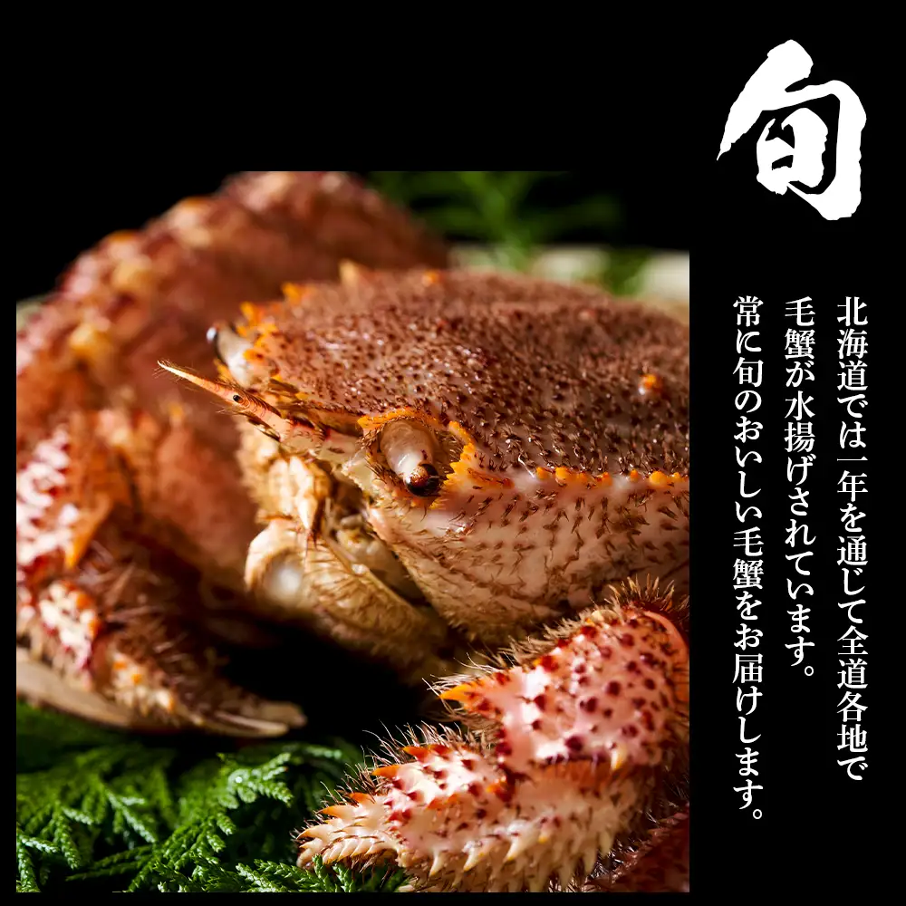 毛蟹 ボイル済み 冷凍 2尾セット 約1.6kg BM285