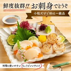 18-68 【訳あり】北海道オホーツク産ホタテ貝柱(生食用)小粒大入 1kg ｜ サイズ不揃い ワケアリ 訳あり ほたて ホタテ 帆立 貝柱 玉冷
