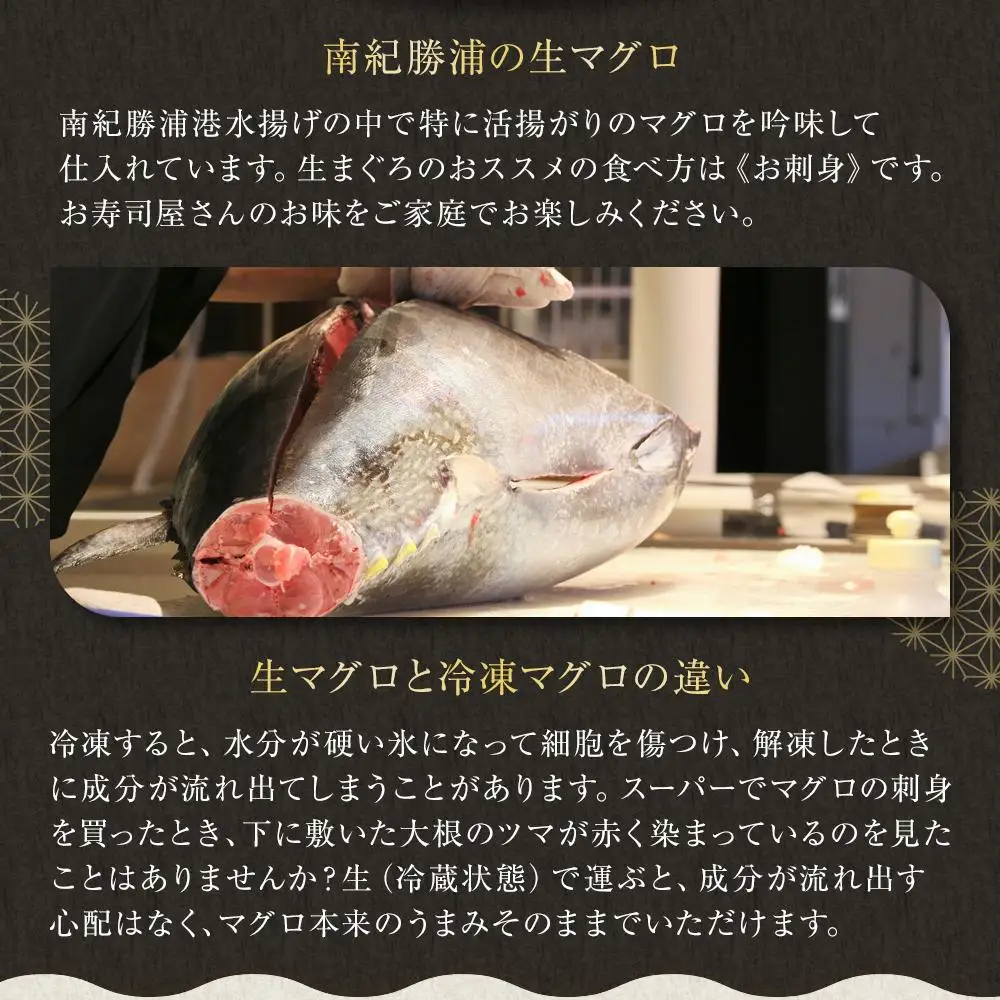 【定期便全5回】生まぐろの本場紀州勝浦から直送！　生メバチマグロ 約600g（1カ月に1回お届け）（全5ヵ月）