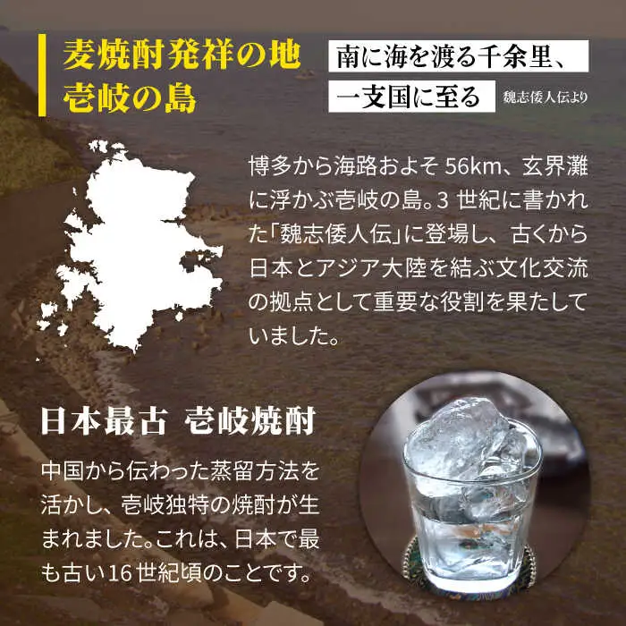 麦焼酎 壱岐 （20度・900ml） 紙パック 計6本  [JDB350] 麦焼酎 お酒