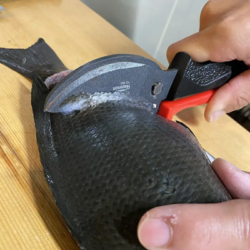 釣り ラバートップミニウキ3号 6本セット 津本式計測マルチハサミ 釣りグッズ