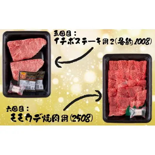 《定期便》長崎和牛おまかせお届け便ミニ(12回)