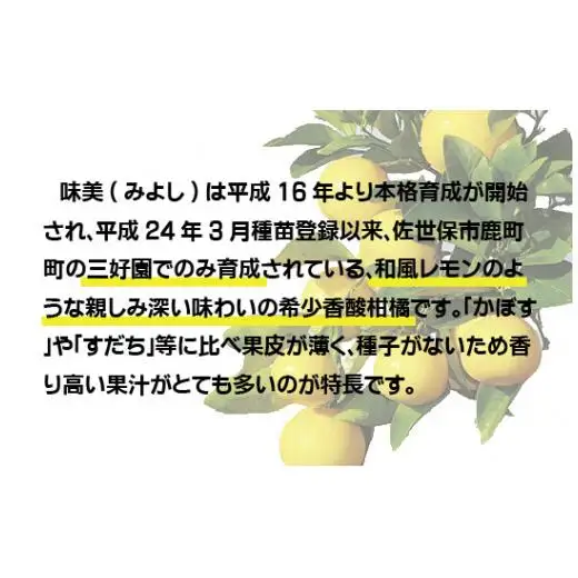 幻の香酸かんきつ味美(新種和レモン)果汁100%アイスバー
