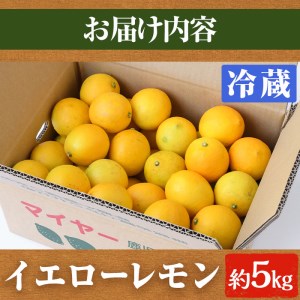 ＜先行予約受付中！2027年4月上旬以降順次発送予定＞ 数量限定！冷蔵品マイヤーイエローレモン (5kg) 国産 マイヤーレモン 檸檬 オレンジ 果実 果物 フルーツ 柑橘 デザート 期間限定 冷蔵 アレンジ デザート ドリンク 【桐野柑橘株式会社】akn070-13