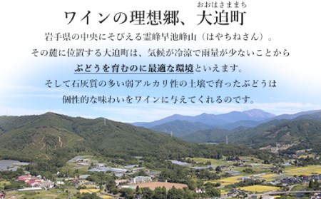 リースリング・リオン冷凍果汁仕込　箔押しギフトBOX入り （375ml×1本） 【1384】
