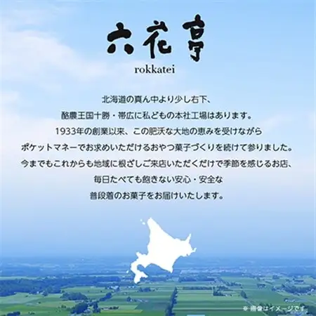 六花亭・六花セレクト缶(花柄)21個入_菓子・スイーツ チョコレート    菓子・スイーツ 焼き菓子  _【配送不可地域：離島】【1359118】