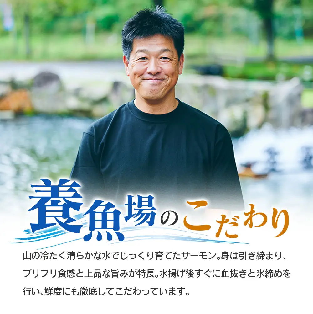 芸北サーモン 計500g 骨取りフィレ＆冷燻サーモンセット  山育ち サーモン フィレ スモークサーモン 刺身 サラダにおすすめ_OG065_003