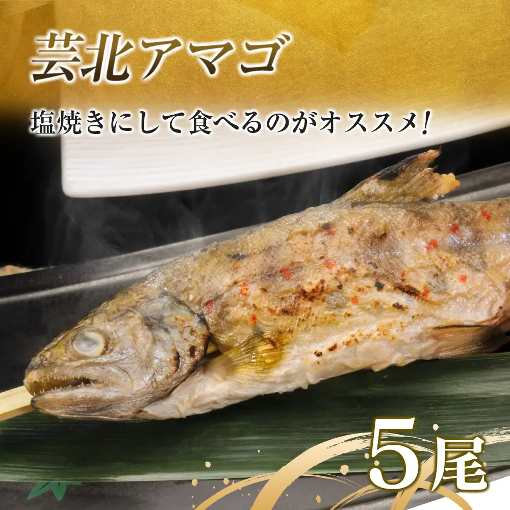 芸北サーモン計800g＆アマゴセット 骨取り サーモンフィレ 冷燻サーモン スモークサーモン 芸北アマゴ 清流育ちのお魚セット 山育ち芸北サーモン_OG065_004