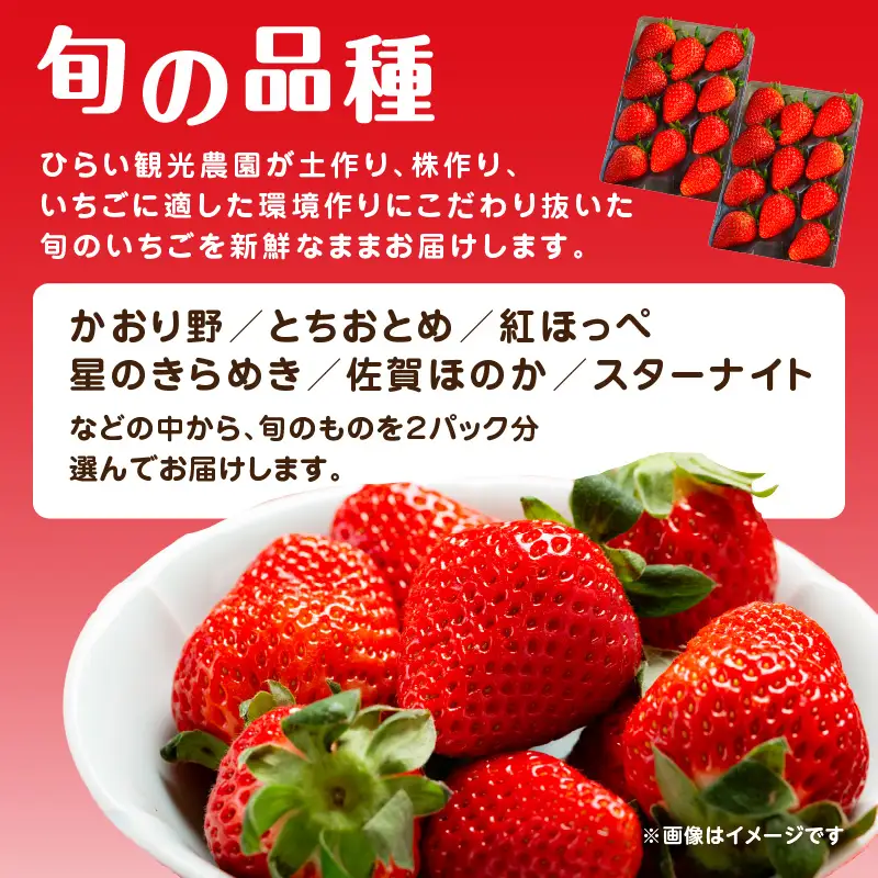 いちご堪能詰め合わせセット「あまおう450g」＋「旬の品種450g」（合計900g）｜2027年1月下旬～順次発送＜ひらい観光農園＞ あまおう いちご 苺 イチゴ フルーツ 果物 くだもの 人気 旬 福岡県産 食べ比べ 採れたて セット 冷蔵配送 数量限定 期間限定 産地直送 福岡県 八女市 065-002