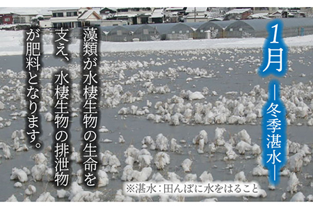 先行予約【令和8年産】玄米「廿ノ極」（4.5kg） [TCI001] 玄米