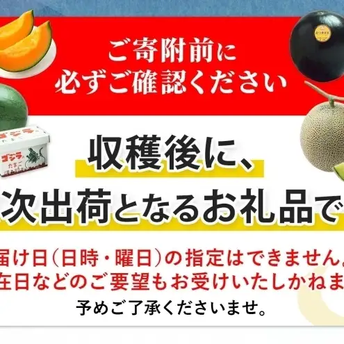 メロン 青肉 月雫 秀品 北海道産 メロン【1玉 約1.6kg】【先行予約】