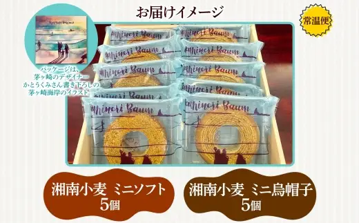 バウムクーヘン なみのりバウム ミニ 食べきり バウムクーヘン【10個】