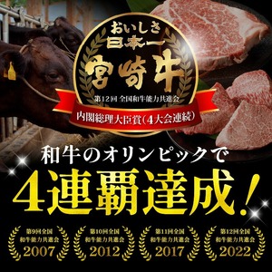 宮崎牛 カルビ焼肉500g N0140-YA5535