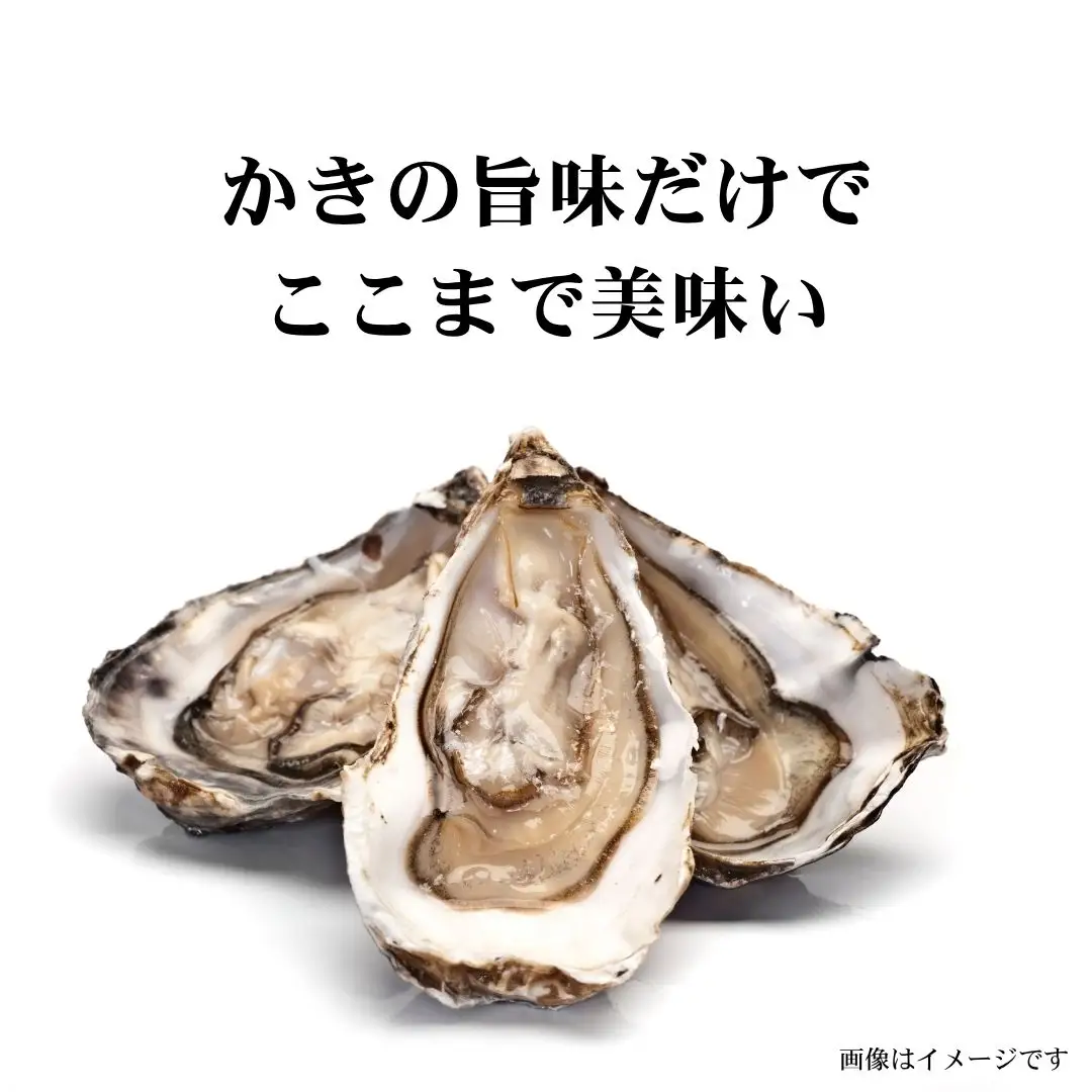 広島名産 かき カレー 中辛 200g×5個セット
