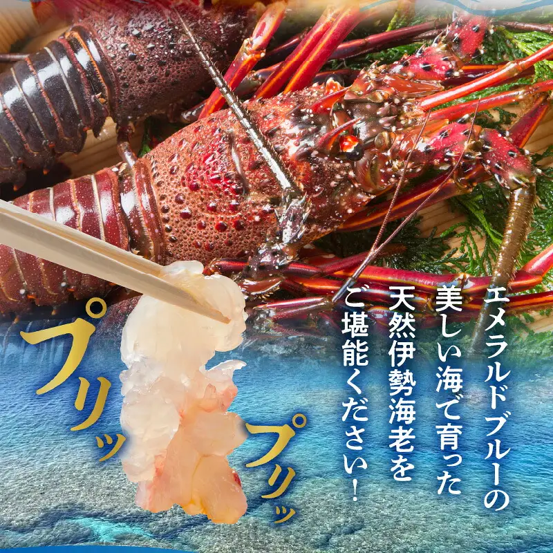 エメラルドブルーの美しい海で獲れた天然伊勢海老2㎏（4～6尾）！ W057-003u 冷凍 海鮮 エビ