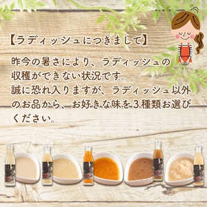 選べる！3種の手作り野菜サラダドレッシング(215ml×3本) a2-111
