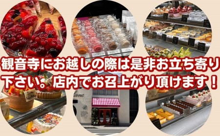 シフォン詰合せ 絹のいろどり チョコ マンゴー シフォン詰合せ【10個入】