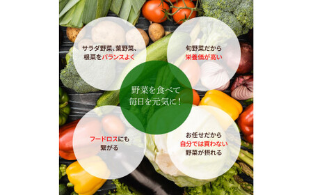 野菜セット（11‐13種類）《3カ月定期便》 