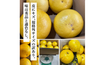 先行予約 訳あり　土佐文旦１０㎏詰め合わせ　 ムッキーちゃん(皮むき機)付き