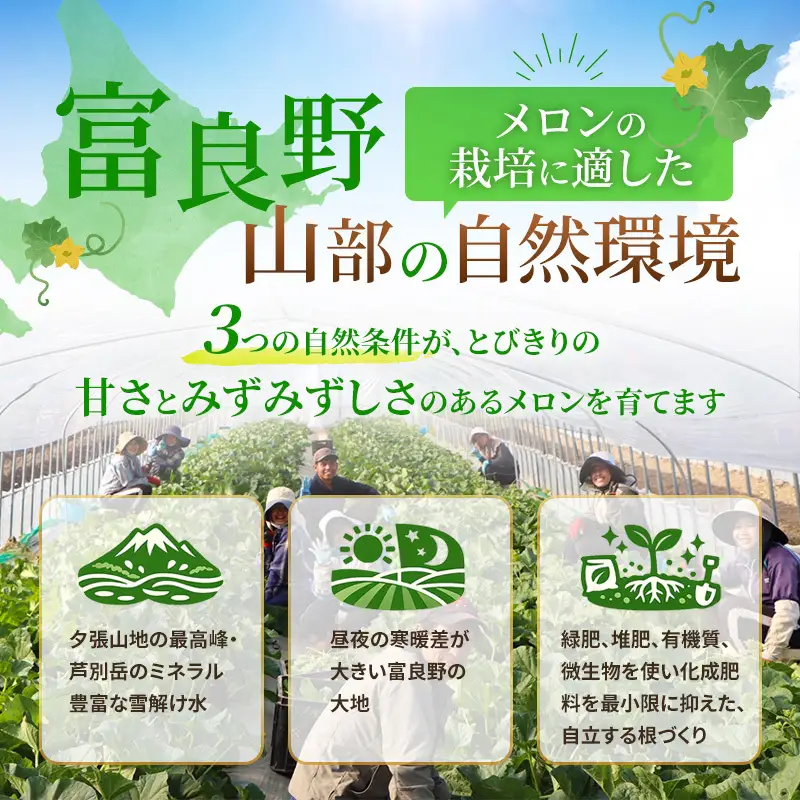 【2026年夏発送】富良野メロン 山部の絶品『鳳凰』2L 3玉 計5.4kg以上 メロン 赤肉 大玉 北海道