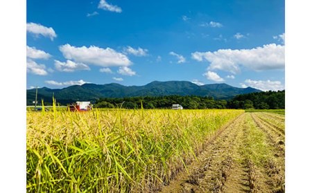 【定期発送】米食味鑑定士厳選 新庄産 ミルキークイーン（精米）5kg【全6回】 米 お米 おこめ 山形県 新庄市 F3S-2795