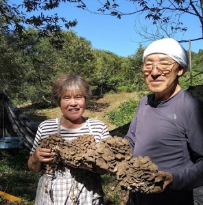阿賀町産乾燥スライスしいたけ（菌床）・乾燥きくらげ各2袋セット