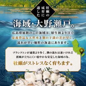 独自ブランド「讃美牡蠣」のこだわり冷凍大粒牡蠣！｜かき カキ 贈答 広島
