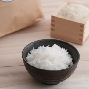 栃木県コシヒカリ 「桜花爛漫」 玄米 5kg 【ご飯 お米 コメ コシヒカリ 栃木県産 さくら市産】 ※北海道・沖縄・離島への配送不可 ※着日指定不可◇