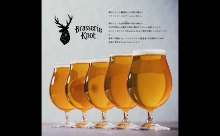 鶴居村 クラフトビール Brasserie KnotのBIRD（PALE ALE）６缶セット（道東限定ビール ご当地 地ビール ビール お酒 フルーティ 芳醇 ギフト 家飲み 詰め合わせ お中元 お歳暮 缶 缶ビール ペールエール ホップ 爽快感 柑橘 ブルワリー ブラッスリーノット 晩酌 Beer 醸造所 プレゼント 北海道 ふるさと納税 ふるなび  ）
