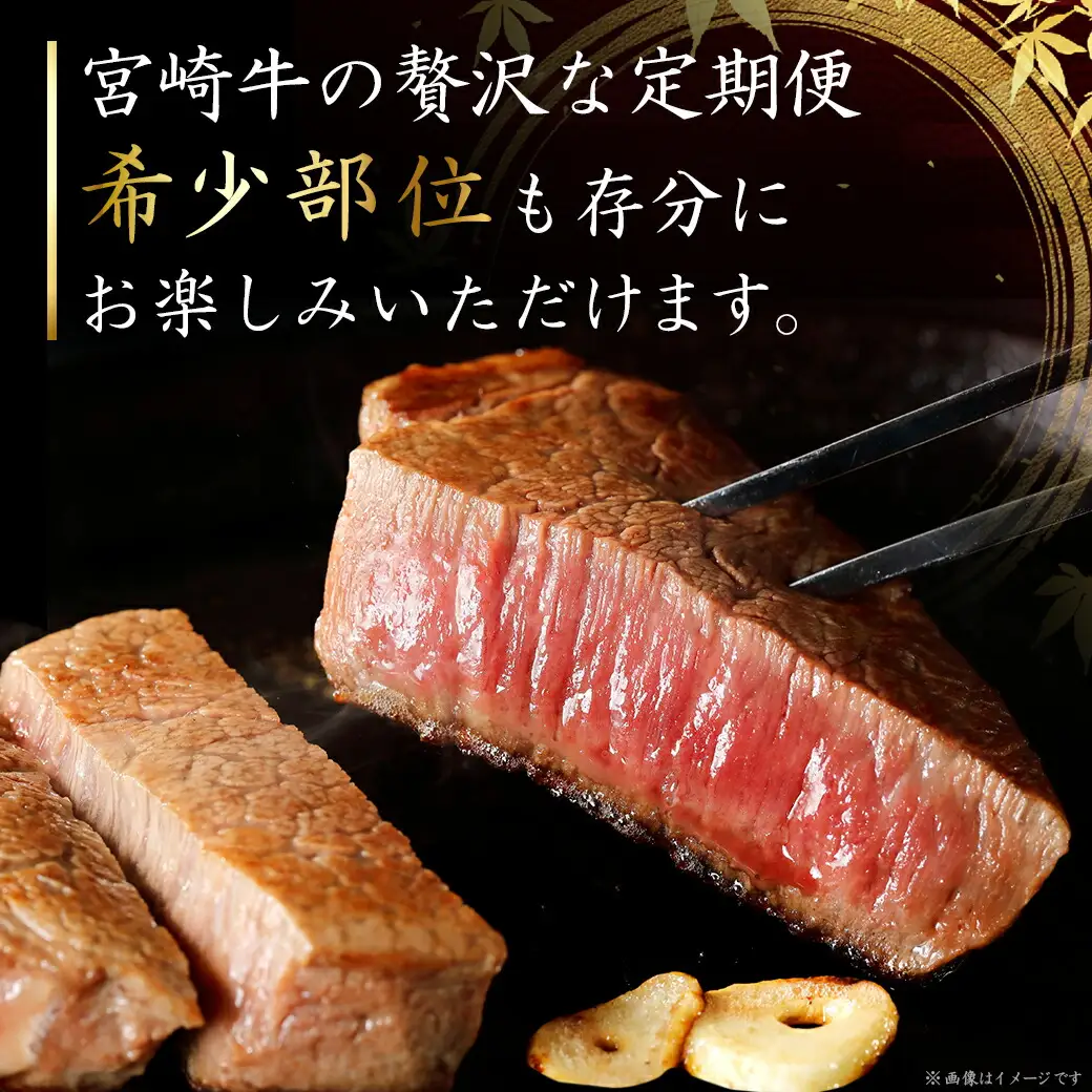 2種の部位を楽しめる♪月替わり宮崎牛ステーキ定期便(6ヶ月)〔T132-6-6501〕_(都城市) 宮崎牛 ロース ヒレ モモ ミスジ ステーキ 
