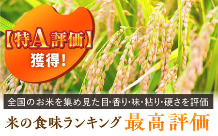 【もっちりとした粘りと甘さ】 さがびより 10kg /愛まんてん [UBD003] 米 こめ コメ お米
