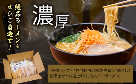 とんぺいの生ラーメン 5食入り　麺 ラーメン