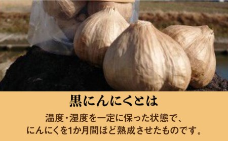 【スタミナ抜群！！】佐賀の武雄で育てた黒にんにく 約300g /江口農園 [UBF005] ニンニク 野菜 黒ニンニク
