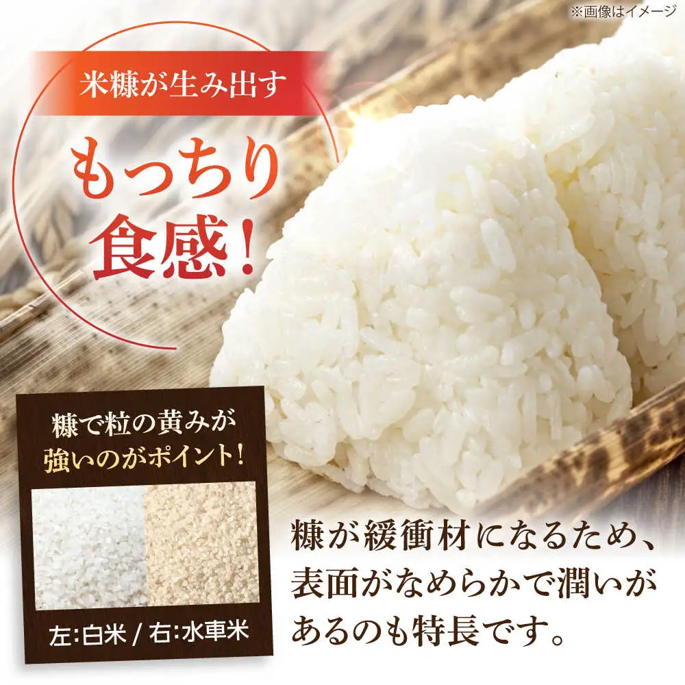 大楠水車米 さがびより 10kg /若木町まちづくり推進協議会 [UBY003] さがびより 水車米
