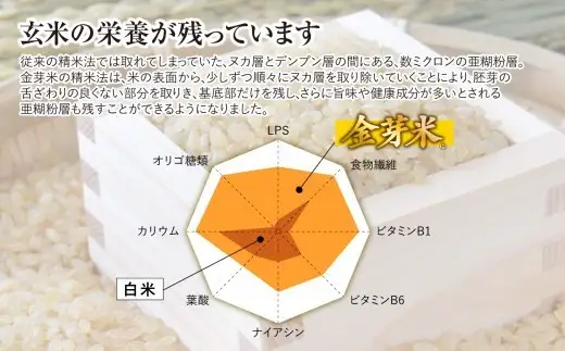 金芽米 10kg  宮城県産金芽米